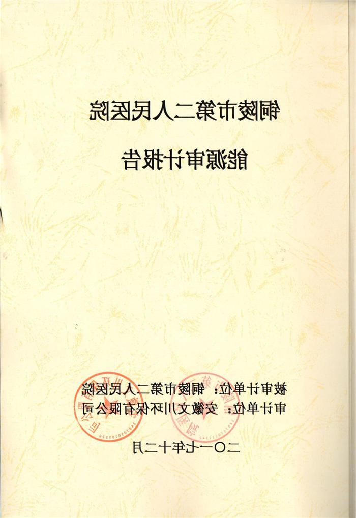 2017年铜陵市第二人民医院能源审计报告.jpg